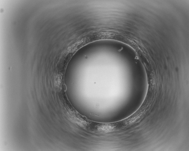 X0000060240759200510311522