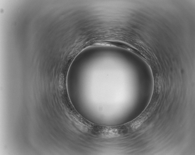 X0000060240760200510311522