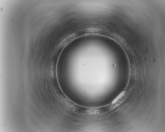 X0000060240762200510311522