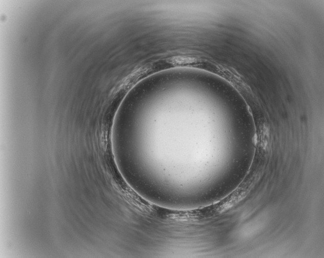 X0000060240763200510311522