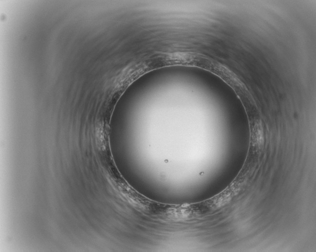 X0000060240764200510311522