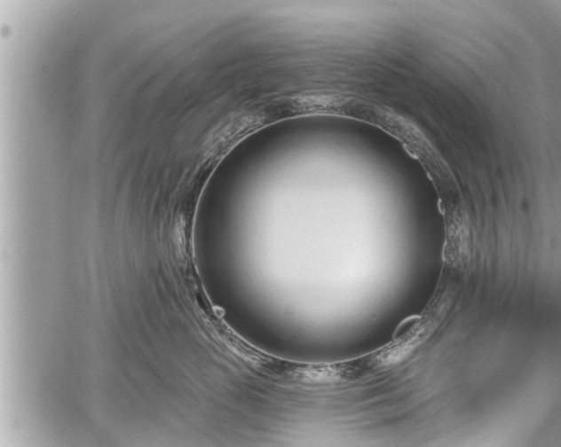 X0000060240765200510311522