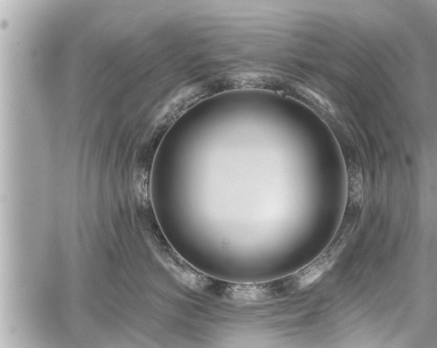 X0000060240766200510311522