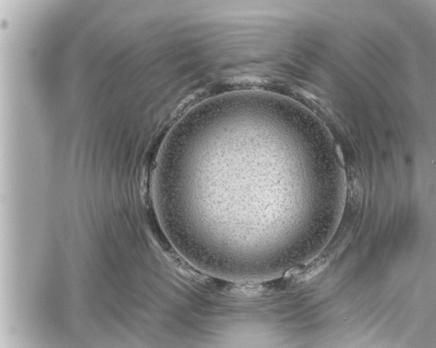 X0000060240767200510311522