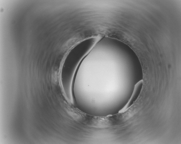 X0000060240768200510311522