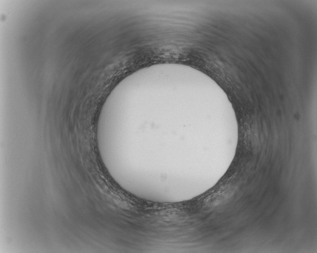 X0000060240769200510311521