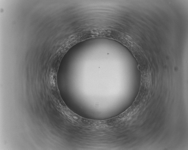 X0000060240770200510311521