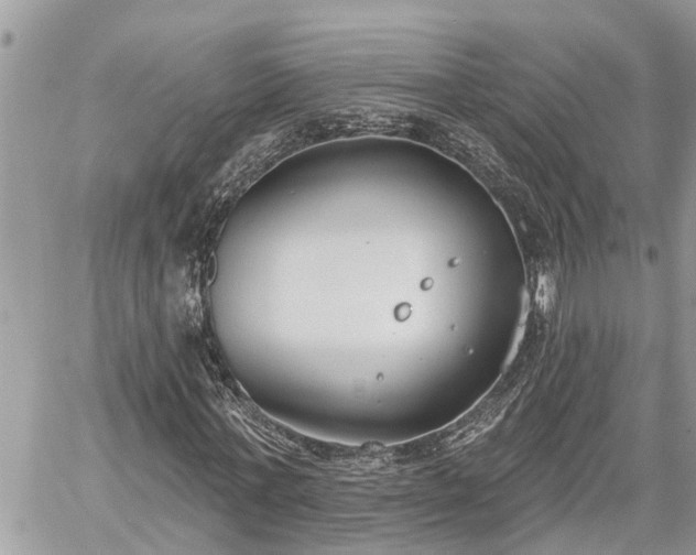 X0000060240771200510311521