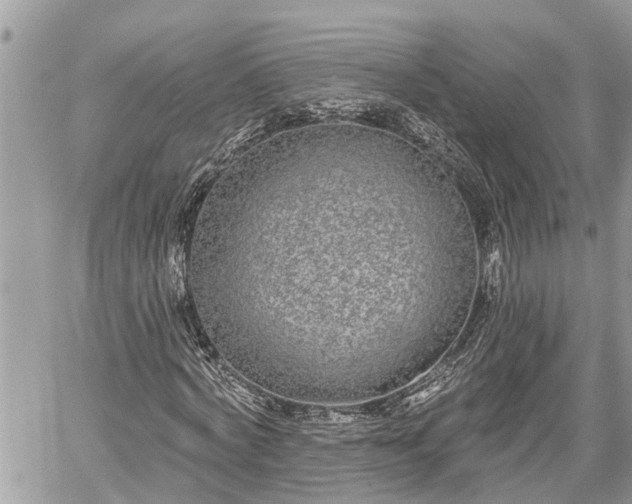 X0000060240772200510311521