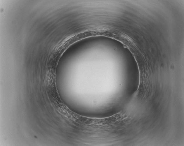 X0000060240773200510311521