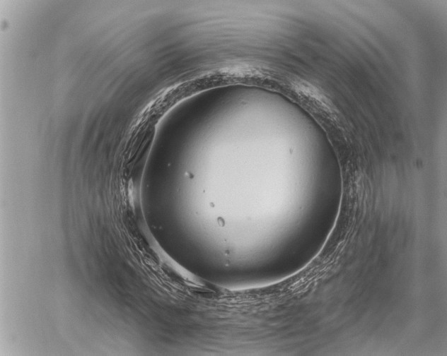 X0000060240776200510311521