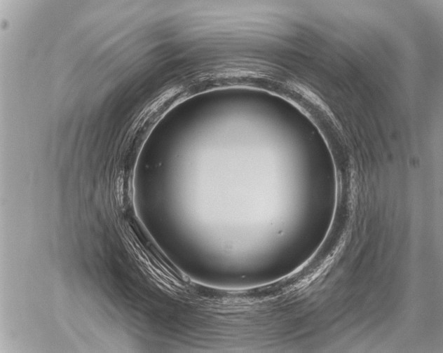 X0000060240777200510311521