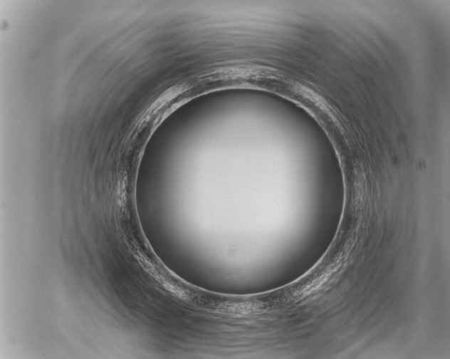 X0000060240778200510311521