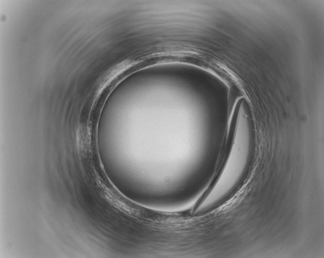 X0000060240779200510311521