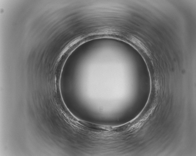 X0000060240781200510311521