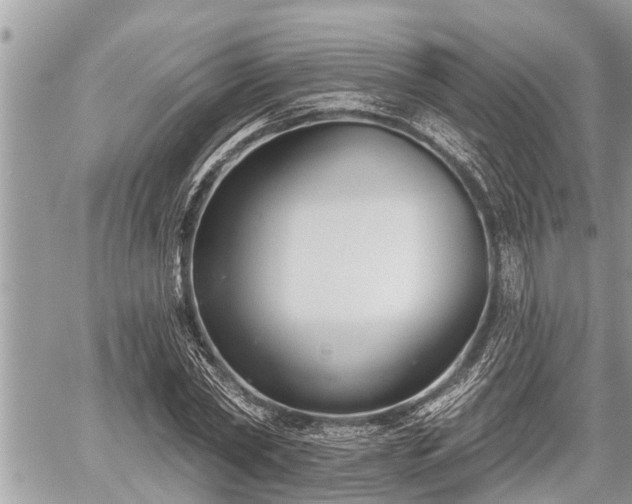 X0000060240782200510311521