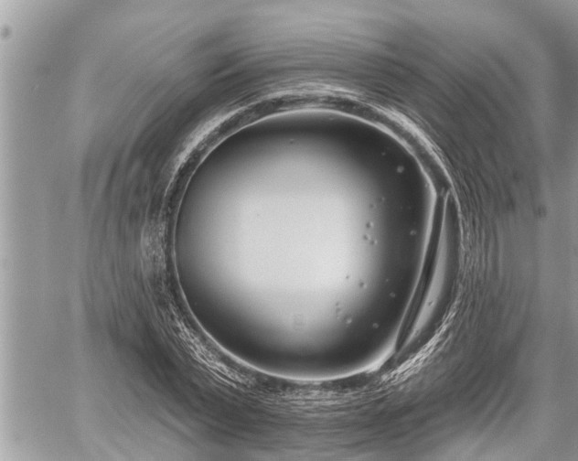 X0000060240783200510311521