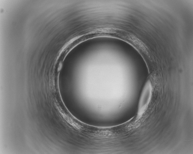 X0000060240784200510311521