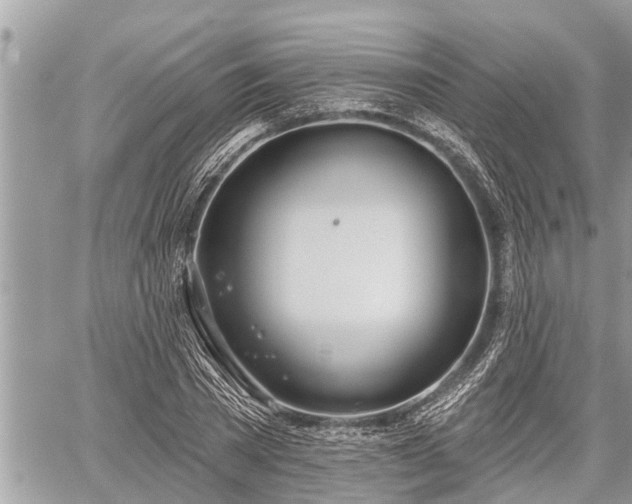 X0000060240785200510311521