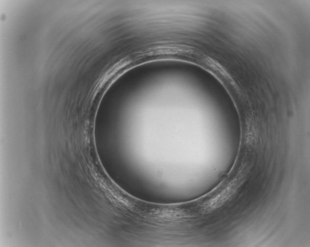 X0000060240786200510311521