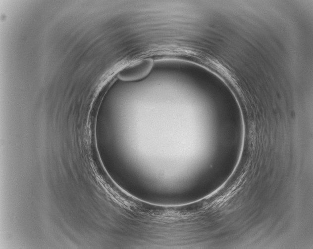 X0000060240787200510311521