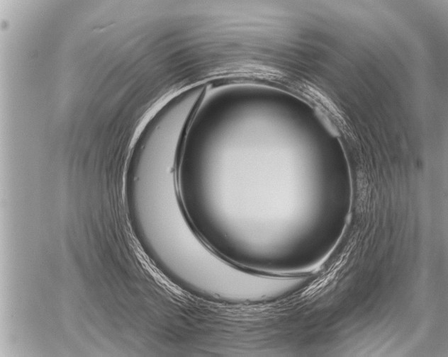 X0000060240788200510311521