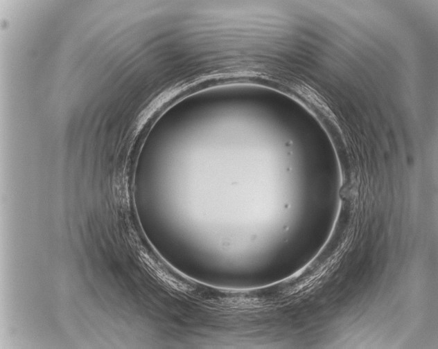 X0000060240789200510311521