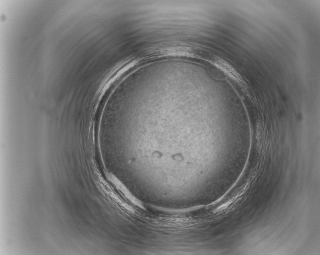 X0000060240790200510311521