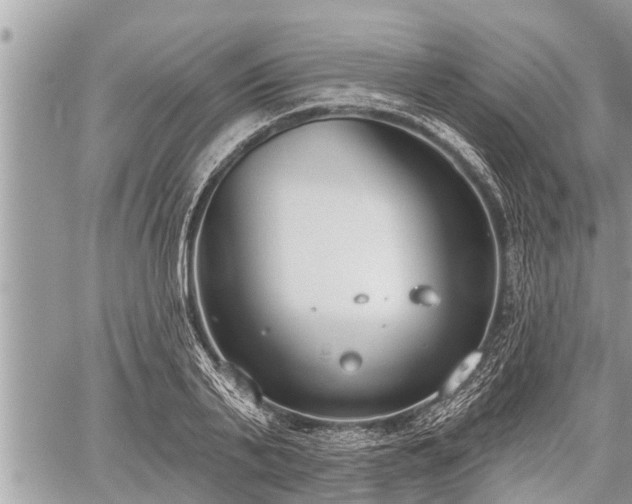 X0000060240791200510311521