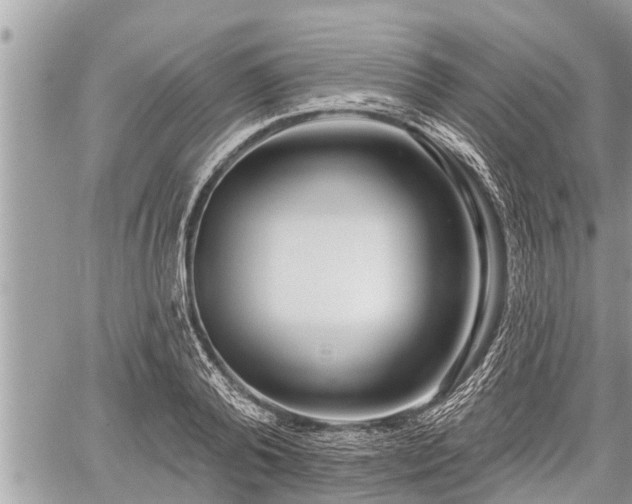 X0000060240792200510311521