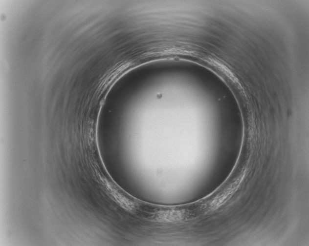 X0000060240793200510311521