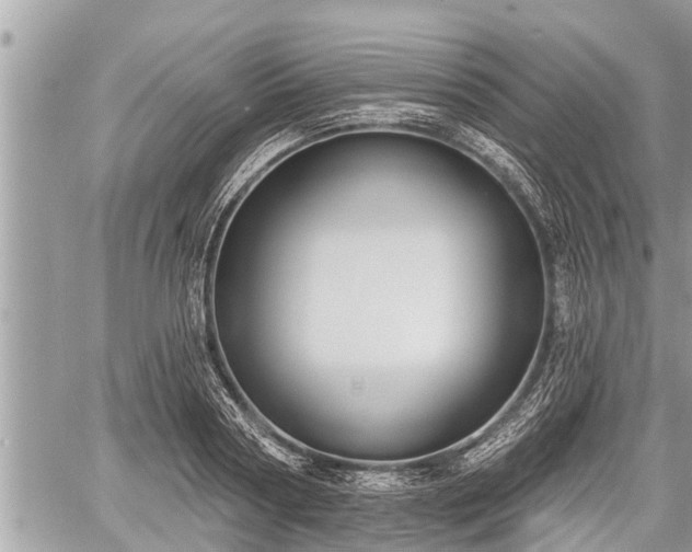 X0000060240794200510311521