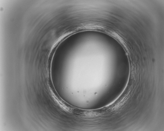 X0000060240795200510311521