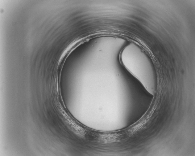 X0000060240796200510311521