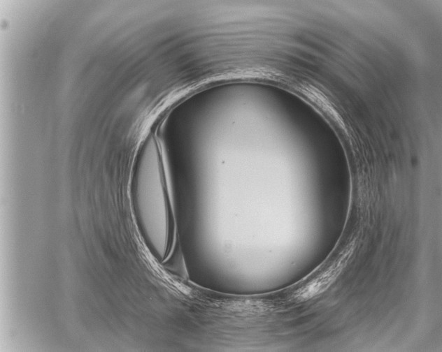 X0000060240797200510311521