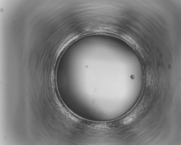 X0000060240798200510311521