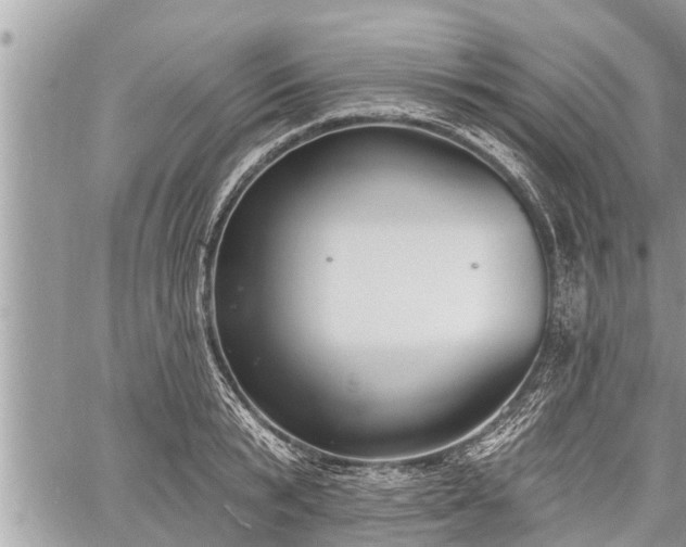 X0000060240799200510311521