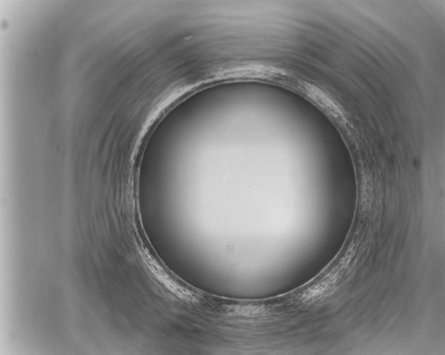 X0000060240800200510311521