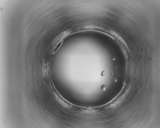 X0000060240801200510311520