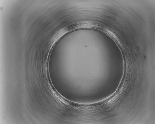 X0000060240802200510311520