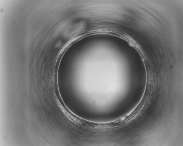 X0000060240803200510311520