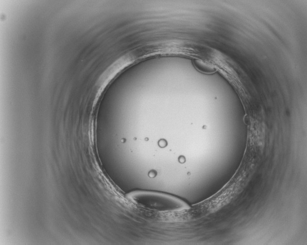 X0000060240804200510311520