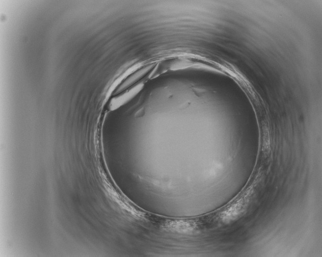 X0000060240806200510311520