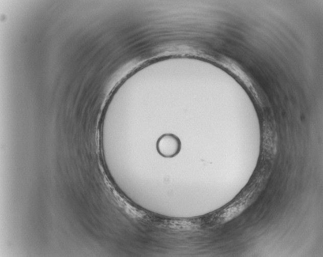 X0000060240807200510311520