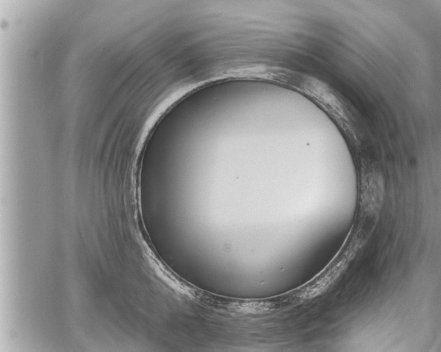 X0000060240808200510311520