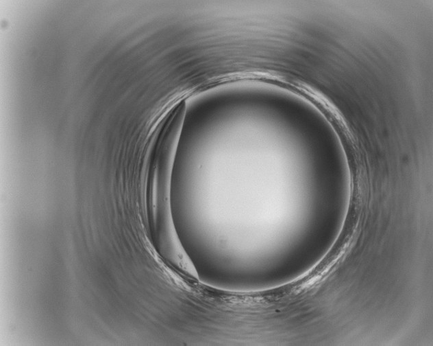 X0000060240809200510311520