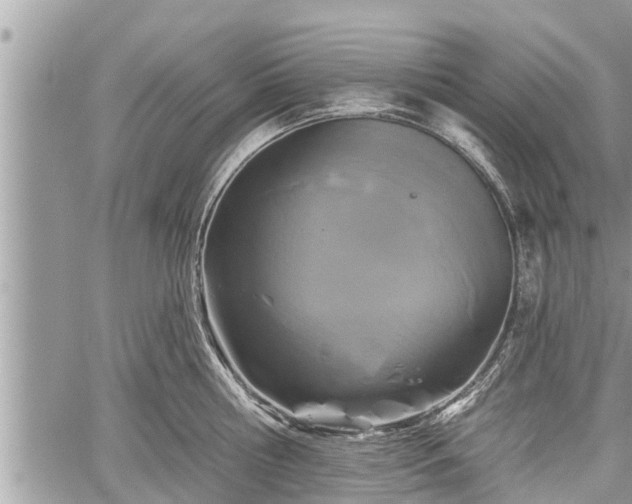 X0000060240810200510311520