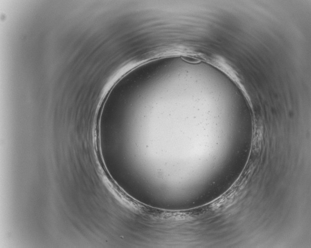 X0000060240811200510311520