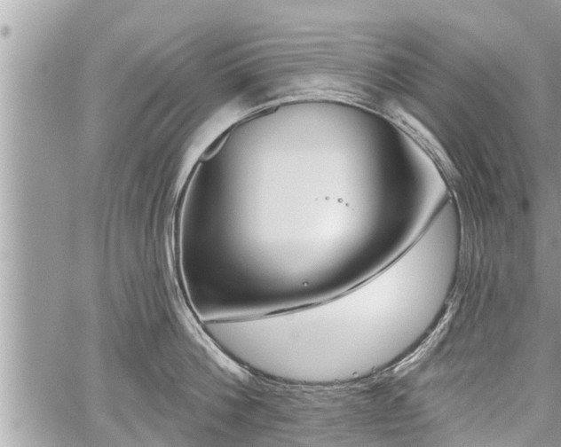 X0000060240812200510311520