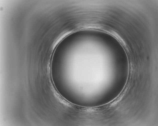 X0000060240814200510311520